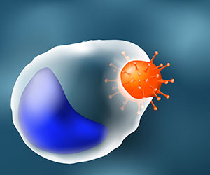 macrophages.jpg macrophages.jpg
